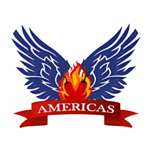 Americas hot buffalo wings restaurant logo