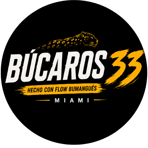 Bucaros33 logo