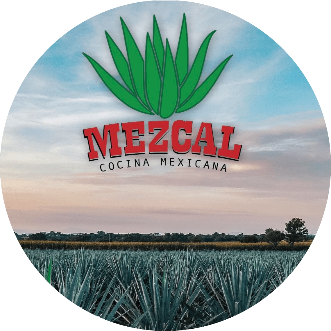 Mezcal Cocina Mexicana 2 logo