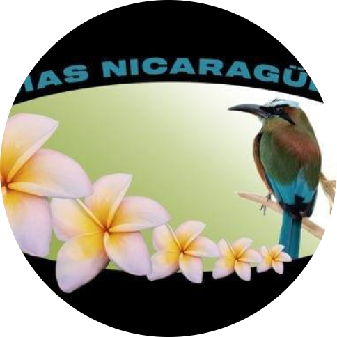 Delicias Nicaraguenses logo