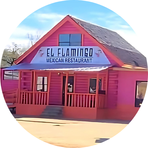 El Flamingo Newton logo