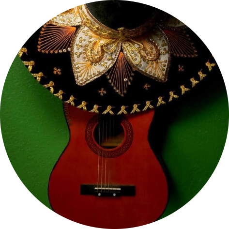El Flamingo Newton logo