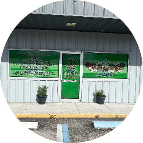 Tauqeria Citlali logo