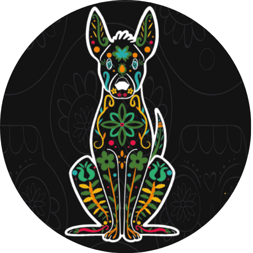 Xoloitzcuintle MexicanRestaurant Sports logo